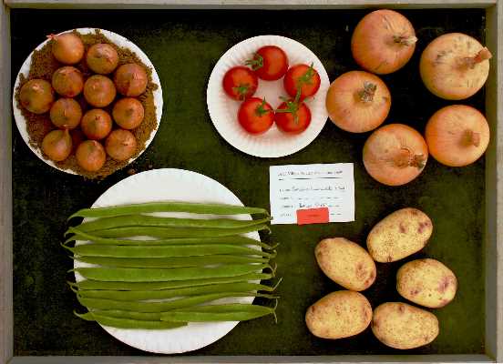 ../Images/08 show tray img_9840.jpg